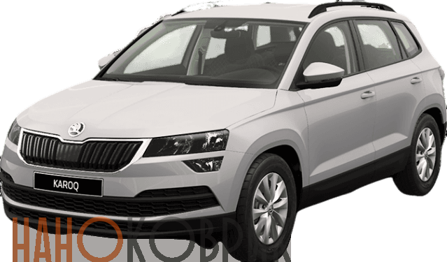 Автомобильные коврики ЭВА (EVA) для Skoda Karoq 2017-2023 